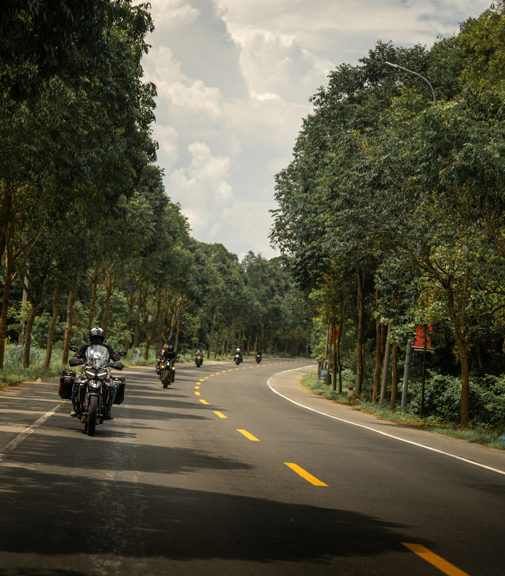 Motorrad-Touring auf Waldstrecke