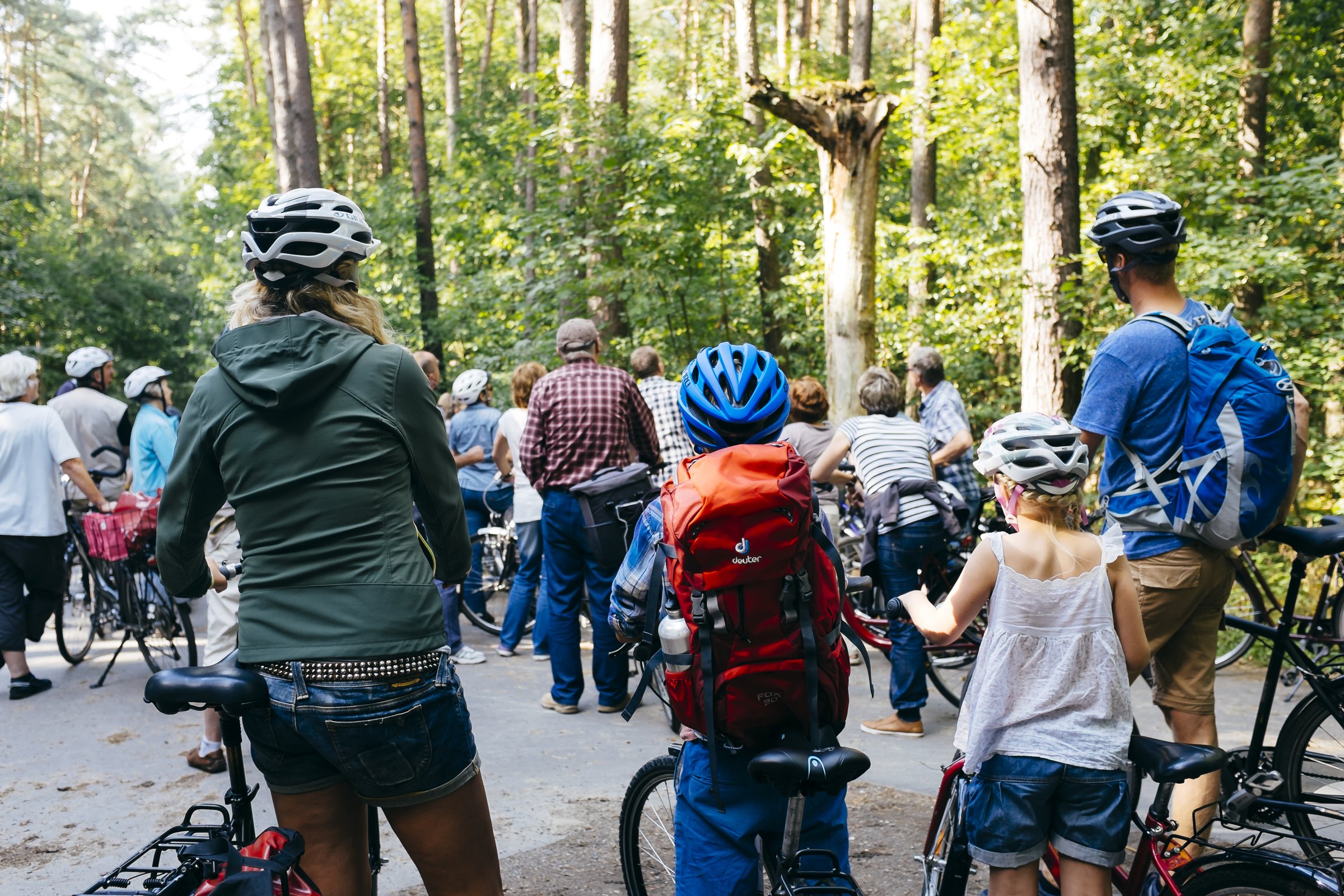 Familien-Radtour durch den Müritz-Nationalpark — Bett+Bike-zertifiziert ab Hotel am Markt